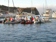 More Catalina 564.jpg: 2005/07/24 - Catalina - 2005